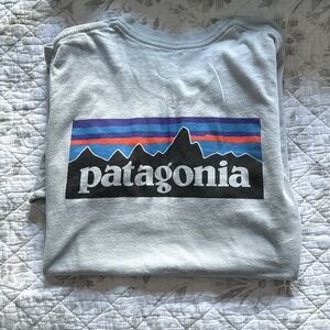 Patagonia Men's Blue Graphic T-Shirt